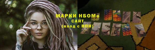 прущие грибы Переславль-Залесский