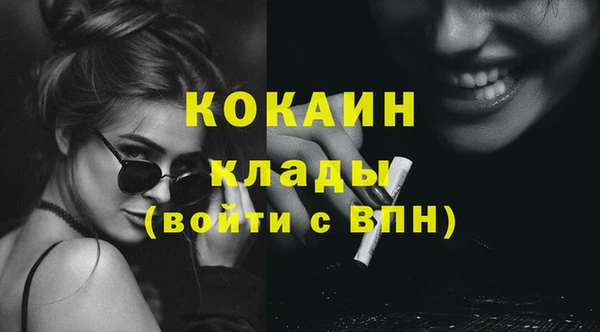 прущие грибы Переславль-Залесский