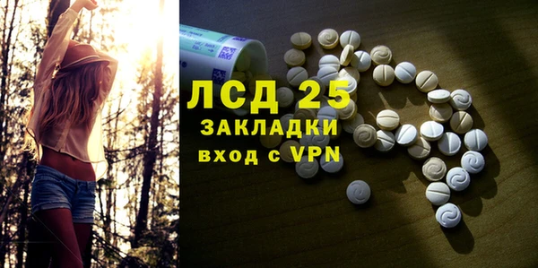 прущие грибы Переславль-Залесский