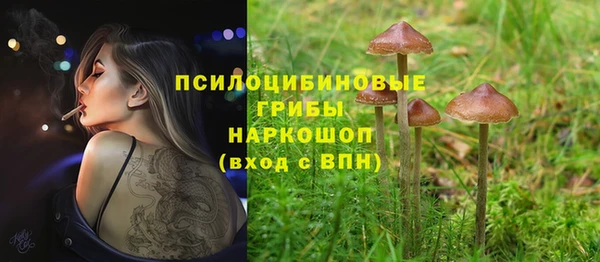 apvp Пересвет