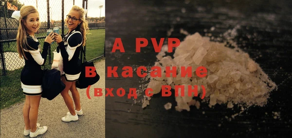 прущие грибы Переславль-Залесский