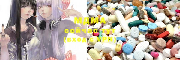 прущие грибы Переславль-Залесский